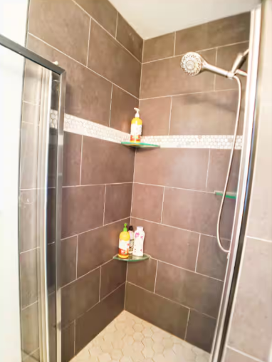 Walk-in shower with brown tile walls, glass enclosure and built-in corner shelving
