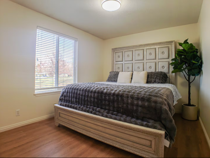Bright bedroom with tufted silver headboard king bed, plush gray bedding, hardwood floors and large window with natural light