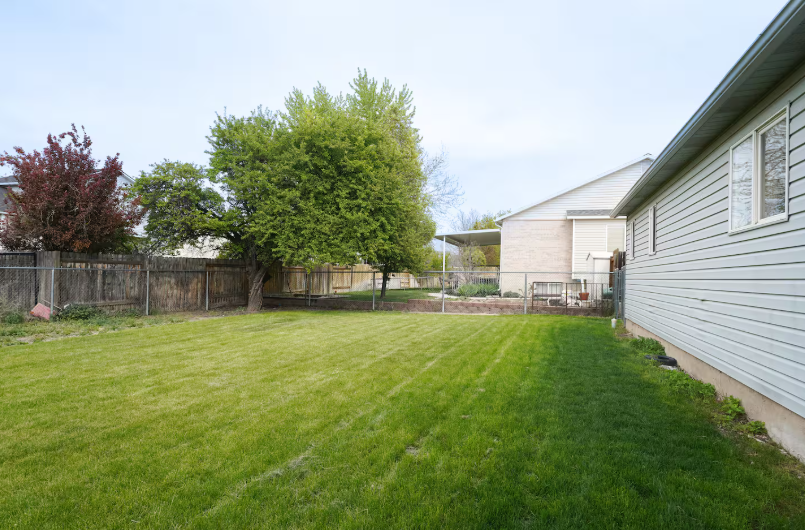 Large fenced backyard with lush green lawn, mature shade trees, raised garden beds and wood privacy fence