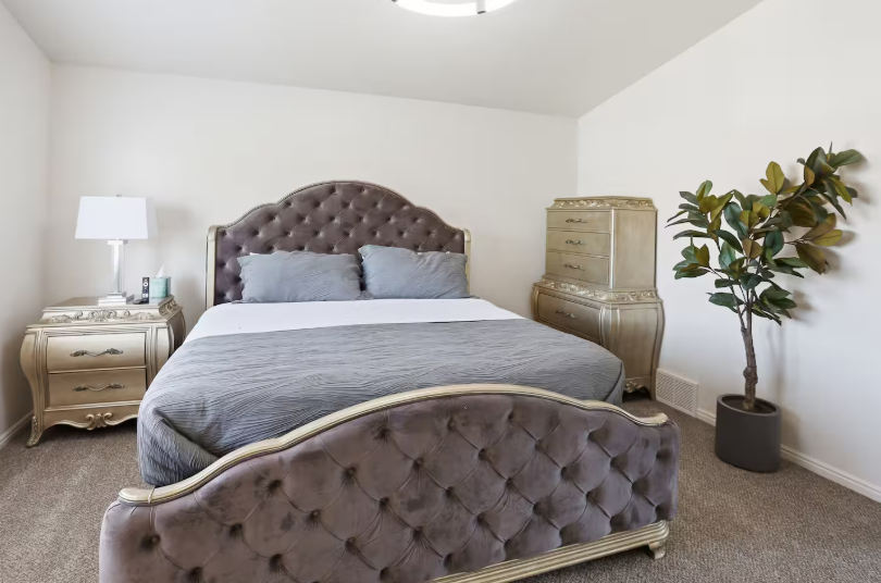 King bedroom with tufted gray velvet headboard and footboard, gold ornate nightstands and dresser, faux fiddle leaf fig tree